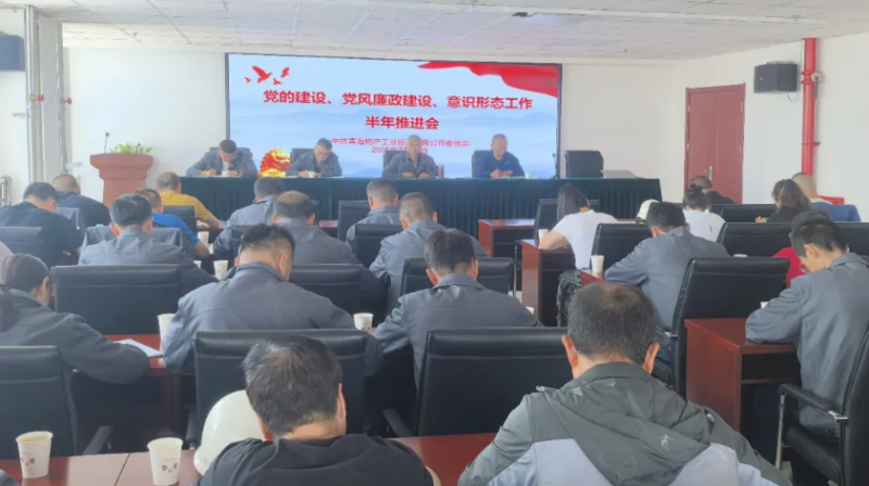 工投公司黨委召開黨的建設(shè)、黨風(fēng)廉政建設(shè)、意識形態(tài)工作半年推進會